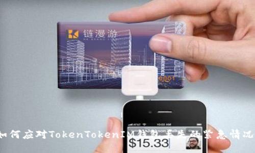 如何应对TokenTokenIM钱包丢失的紧急情况？
