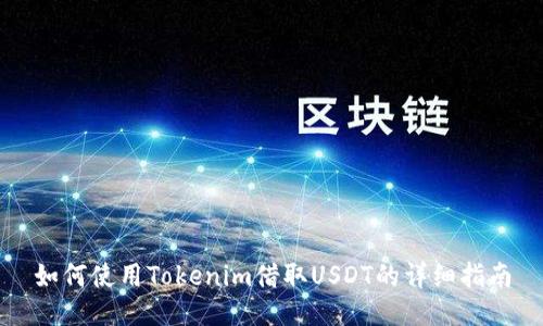 如何使用Tokenim借取USDT的详细指南