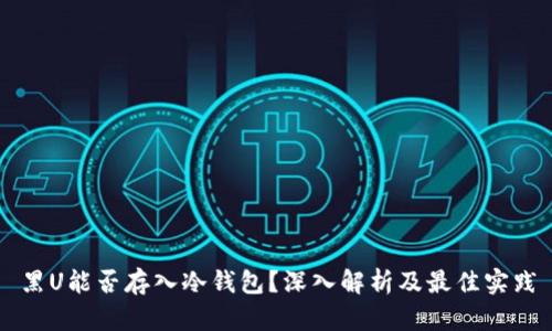 黑U能否存入冷钱包？深入解析及最佳实践