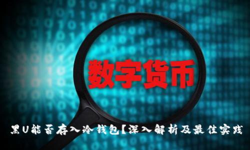 黑U能否存入冷钱包？深入解析及最佳实践