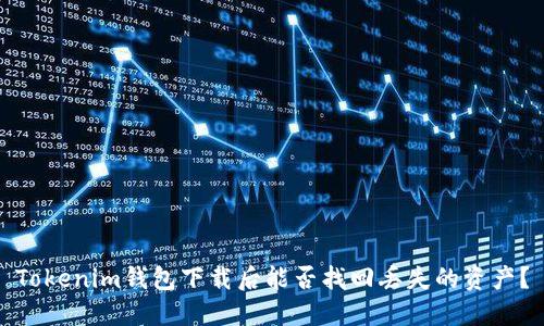 Tokenim钱包下载后能否找回丢失的资产？