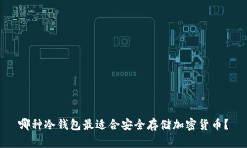 哪种冷钱包最适合安全存储加密货币？