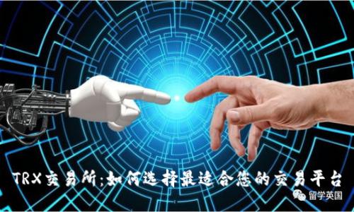 TRX交易所：如何选择最适合您的交易平台