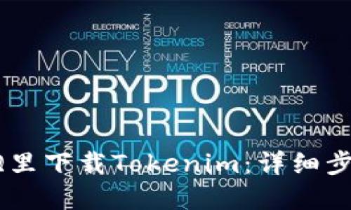 如何在QQ里下载Tokenim：详细步骤与技巧