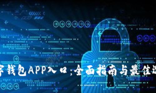 数字钱包APP入口：全面指南与最佳选择