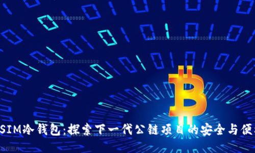 DSIM冷钱包：探索下一代公链项目的安全与便利