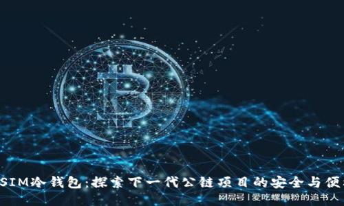 DSIM冷钱包：探索下一代公链项目的安全与便利
