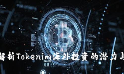 全面解析Tokenim海外投资的潜力与风险
