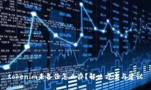 tokenim未备份怎么办？解决方案与建议