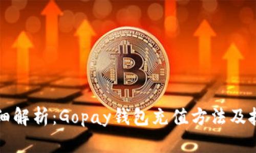 详细解析：Gopay钱包充值方法及技巧