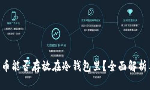 Pi网络中的Pi币能否存放在冷钱包里？全面解析与安全性探讨