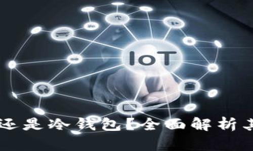 MetaMask：热钱包还是冷钱包？全面解析其安全性与使用场景