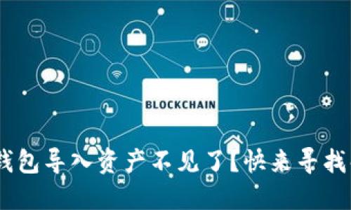 Tokenim钱包导入资产不见了？快来寻找解决方案！