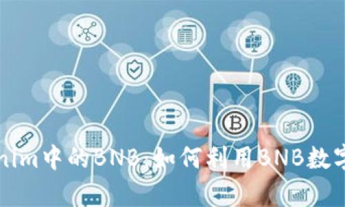解析Tokenim中的BNB：如何利用BNB数字资产管理