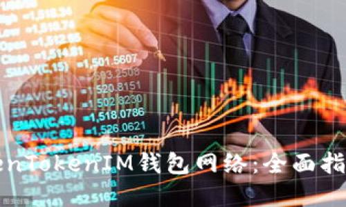 如何设置TokenTokenIM钱包网络：全面指南与实用技巧
