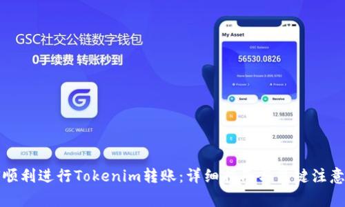 如何顺利进行Tokenim转账：详细指南与关键注意事项