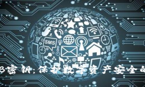 冷钱包USB密钥：保护数字资产安全的现代利器