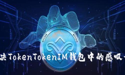 如何解决TokenTokenIM钱包中的感叹号问题？