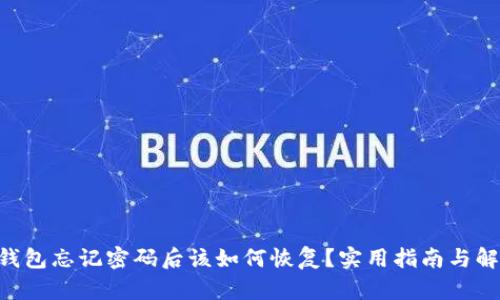 RCP冷钱包忘记密码后该如何恢复？实用指南与解决方案