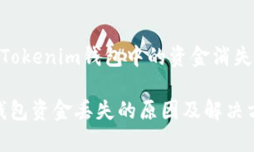 深入分析：Tokenim钱包中的资金消失了怎么办？

Tokenim钱包资金丢失的原因及解决方法分析