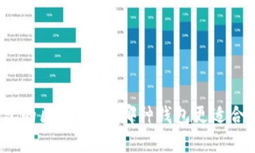 轻钱包与冷钱包的区别解析：哪种钱包更适合你的数字资产？