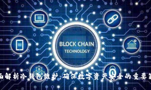 全面解析冷钱包维护：确保数字资产安全的重要策略