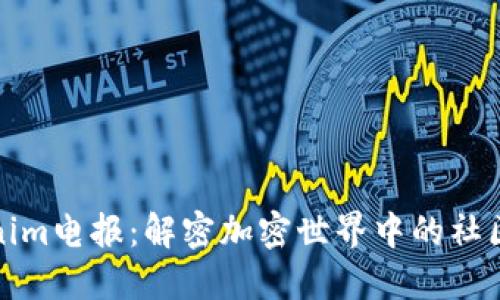 Tokenim电报：解密加密世界中的社区力量
