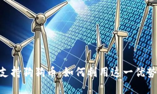 Tokenim支持狗狗币：如何利用这一优势进行投资