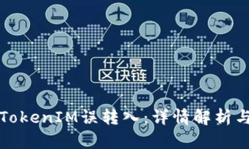 如何处理TokenIM误转入：详情解析与解决方案