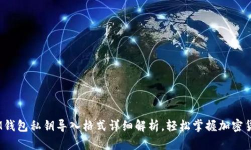 TokentokenIM钱包私钥导入格式详细解析，轻松掌握加密货币的安全秘诀