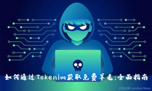 如何通过Tokenim获取免费羊毛：全面指南