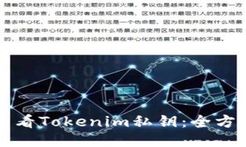如何查看Tokenim私钥：全方位指南