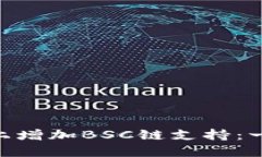 如何在Tokenim上增加BSC链支持：一步步指南与技巧