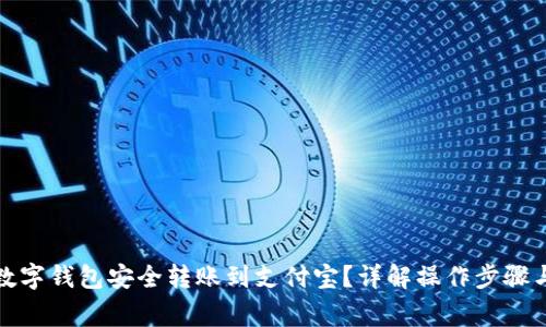 如何通过数字钱包安全转账到支付宝？详解操作步骤与注意事项