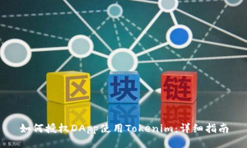 如何授权DApp使用Tokenim：详细指南