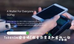 Tokenim安全吗？探索你需要知道的一切