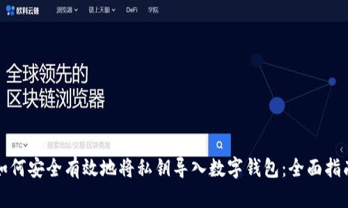 如何安全有效地将私钥导入数字钱包：全面指南