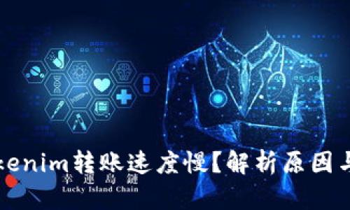 为什么Tokenim转账速度慢？解析原因与解决方案
