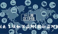 Tokenim币被划走了该如何应对？揭秘应对措施与风