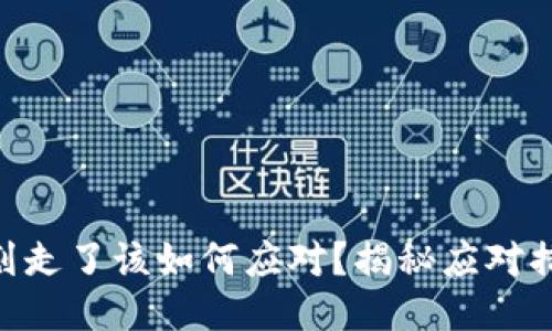 Tokenim币被划走了该如何应对？揭秘应对措施与风险管理