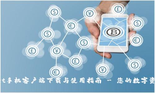TokenPocket手机客户端下载与使用指南 - 您的数字资产管理工具