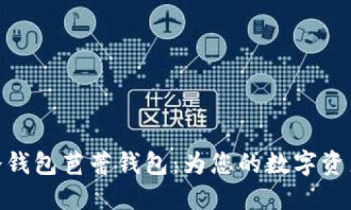 最安全的冷钱包芭蕾钱包：为您的数字资产保驾护航