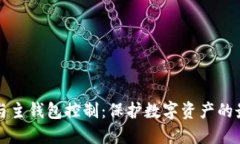 冷钱包与主钱包控制：保护数字资产的最佳实践