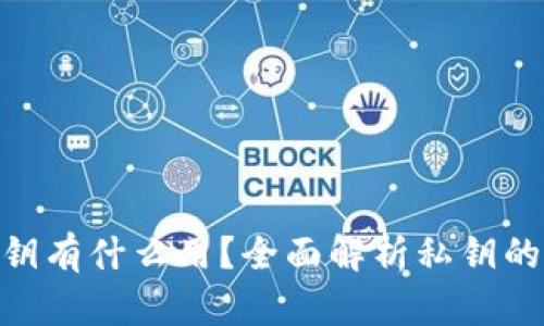 Tokenim的私钥有什么用？全面解析私钥的重要性与应用