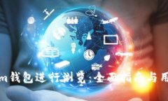 如何使用Tokenim钱包进行浏览：全面指南与用户常
