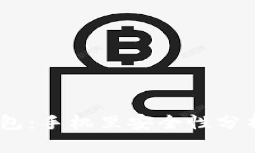 Tokenim 钱包：手机里安全性分析与使用指南