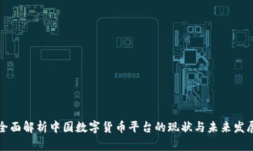 全面解析中国数字货币平台的现状与未来发展