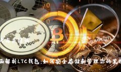 思考与关键词全面解析LTC钱包：如何安全存储和