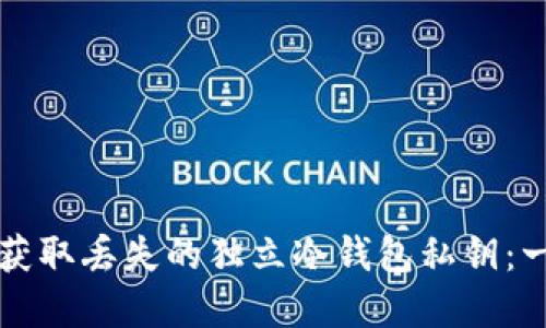 如何重新获取丢失的独立冷钱包私钥：一步步指南