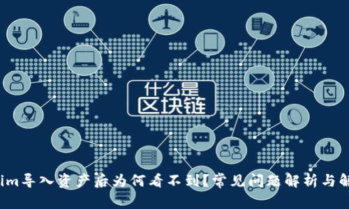  Tokenim导入资产后为何看不到？常见问题解析与解决方案